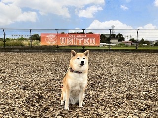 1DF54F83-62B1-466E-819F-D696EE7B5318.jpeg