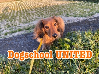 1F088523-79F2-4D18-BE21-3D0E2E5BAB21.jpeg
