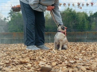240706EB-06C9-4D72-9ACF-F853A6B0D82A.jpeg