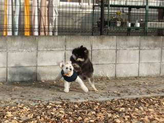 2D0EC3A2-CA6D-432C-9C75-AE13C68158EB.jpeg