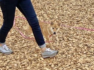 306C9DB8-BA4C-42AD-8B5D-8E6F545FC609.jpeg