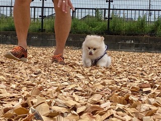 31466D00-E1B3-41EA-A624-B8023C0E353B.jpeg