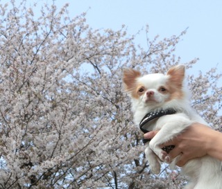 35AB8D2F-AF79-4517-9735-7CFACE10FB98.jpeg