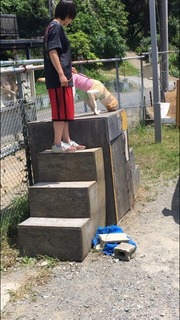 36F165DF-A555-4C67-9898-A6C8EA93CA8B.jpeg