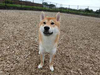 3B1BD128-01AA-4862-8AC0-820964191E6D.jpeg