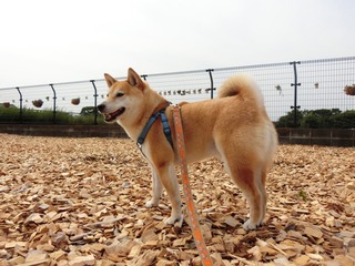 3BFA637F-03FB-4F83-86AB-BC069B60EB2B.jpeg