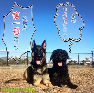 3D0037E3-2CA1-4804-8055-37DF6CC5A11B.jpeg