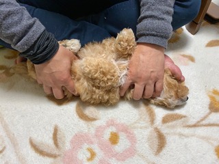 40ED95F1-D6A9-415A-978C-245C845D432C.jpeg