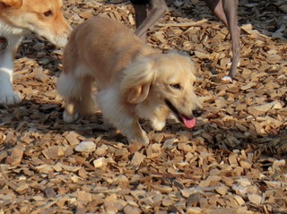43CCC65D-1F22-4888-8747-172CBAEF05EA.jpeg