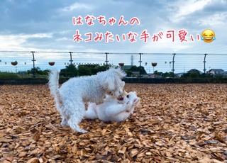 58910223-9DDF-4CC1-98F6-324A5F7FF18F.jpeg
