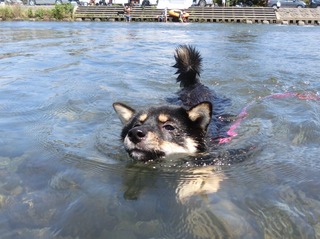 5AD0180C-D08D-48BC-8871-C232AC829608.jpeg