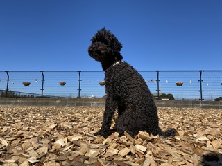5E74F18F-1151-4865-B338-4F1A4FCB84B1.jpeg