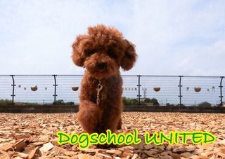 5F9A2961-86E0-407B-A767-5D86F1B11AB3.jpeg