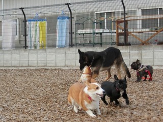 5FA76429-432E-4271-8472-A12268103AAA.jpeg