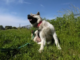 619EE736-3485-4BFE-B166-98133BD8EA96.jpeg