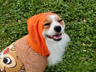 61F688AF-34DF-4C13-983C-8E5C1F0099D7.jpeg