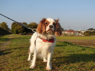 68207D3E-35BC-4C8D-8818-F4B5C2844372.jpeg