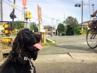 6F00388F-7125-4F19-A82B-9AACC2E8F356.jpeg
