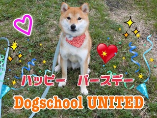72CF8C90-5A1E-4342-B442-759A9AC91C3D.jpeg