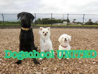 783E60C5-A95F-4A71-A111-EC0A5B1EE52A.jpeg