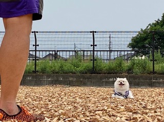 7B42D47B-8345-493D-9FAD-8EE3BBF6F835.jpeg