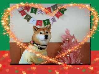 7E2599A4-CD4F-4FE6-AC93-EAFEEBEEA701.jpeg