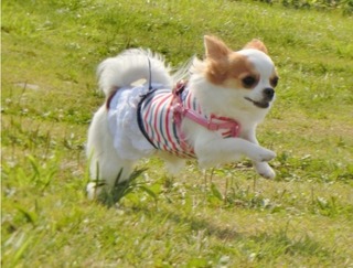 7F15C59D-FF8B-4A35-B342-E9B994CC05CD.jpeg
