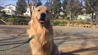 8163AFF4-6907-46AC-A15F-ABE4A8265D90.jpeg