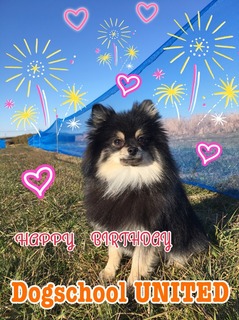 8D5836EC-FB0E-4062-9C37-C64AB99F1F72.jpeg