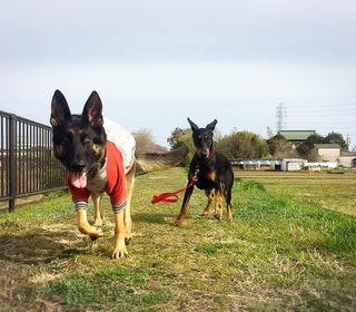 A36AEEF0-2D89-450F-B0FC-CE8CA269037F.jpeg