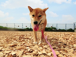 A5B40768-6D03-4C6C-B749-2CBCD7981638.jpeg