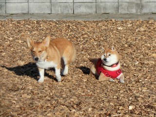 AB982EF8-220B-4E46-B95F-A5504EE70831.jpeg