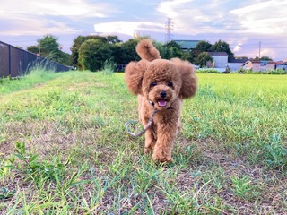 AE6A80C8-B02F-42E0-9956-AF51AD03EF4B.jpeg