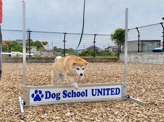 B0E1557C-1A6D-4A6D-B7EC-71AB2C6C9400.jpeg