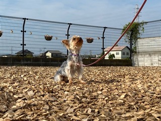 B5F573E3-17F5-4081-B74F-838E870C7423.jpeg