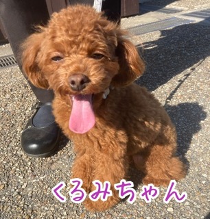 B6FC36AE-31F0-4EFF-9D86-5A5F462C74E1.jpeg