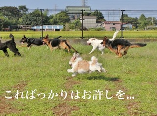 BA90DBB7-9E01-4CC1-87CF-BF3F99815D71.jpeg