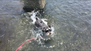 C68EB19C-9D09-4F7B-9289-747B19BE0242.jpeg