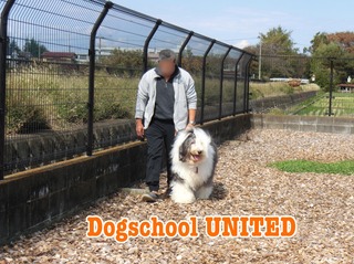 CB518456-ABE9-4657-A61A-12AC89672CA3.jpeg