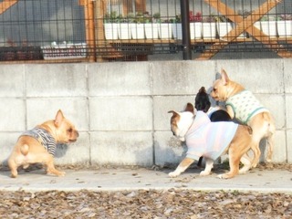 D3FAA7FD-A1AE-40ED-AF3B-34BCFBF31EB6.jpeg