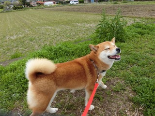 D744B67E-9EB6-452A-905D-F8443861DA21.jpeg