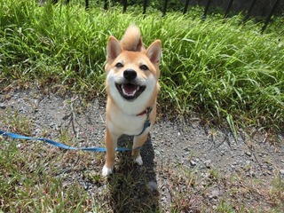 D7F24073-C4FA-4E8F-8972-C9673D7DF4C8.jpeg