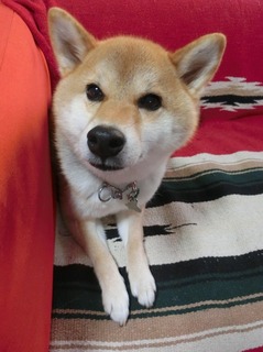 D8CCDCFC-5454-4021-8E92-A8F959D18A2D.jpeg