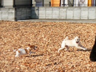 DB9BD885-6EEF-4C09-9363-F2780A08E3DB.jpeg