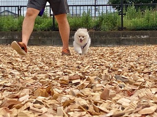 DE1EF057-B488-40E6-A702-EE5A86242329.jpeg
