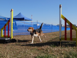 DSC08670.jpg