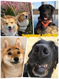 E048E78C-55E2-4E93-811B-18F2804F896C.jpeg