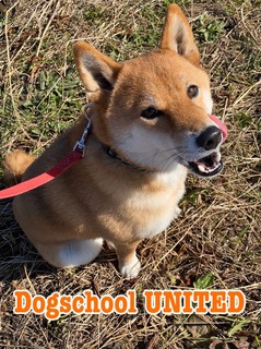 E0BD05FE-CDAC-4A9E-B439-FA1F29545C27.jpeg