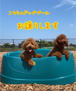 E2D445EF-53FB-4A90-B003-130E0D6BA25F.jpeg