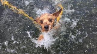 E387647B-8462-46C5-98D3-ADC068378BDC.jpeg